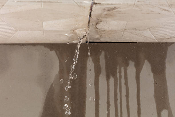 Professional Burst Pipe Cleanup technician working in Oak Vale, MS
